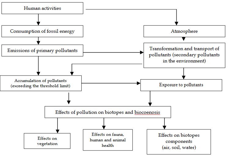 The Effects of Air Pollutants on Vegetation and the Role of Vegetation in  Reducing Atmospheric Pollution | IntechOpen