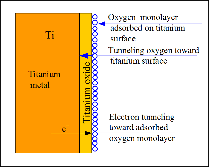 Magnetoelectropolished Titanium Biomaterial | IntechOpen