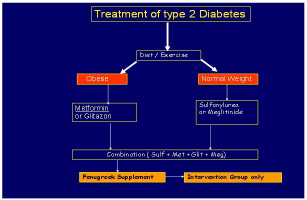 Flow Chart Diabetes Treatment