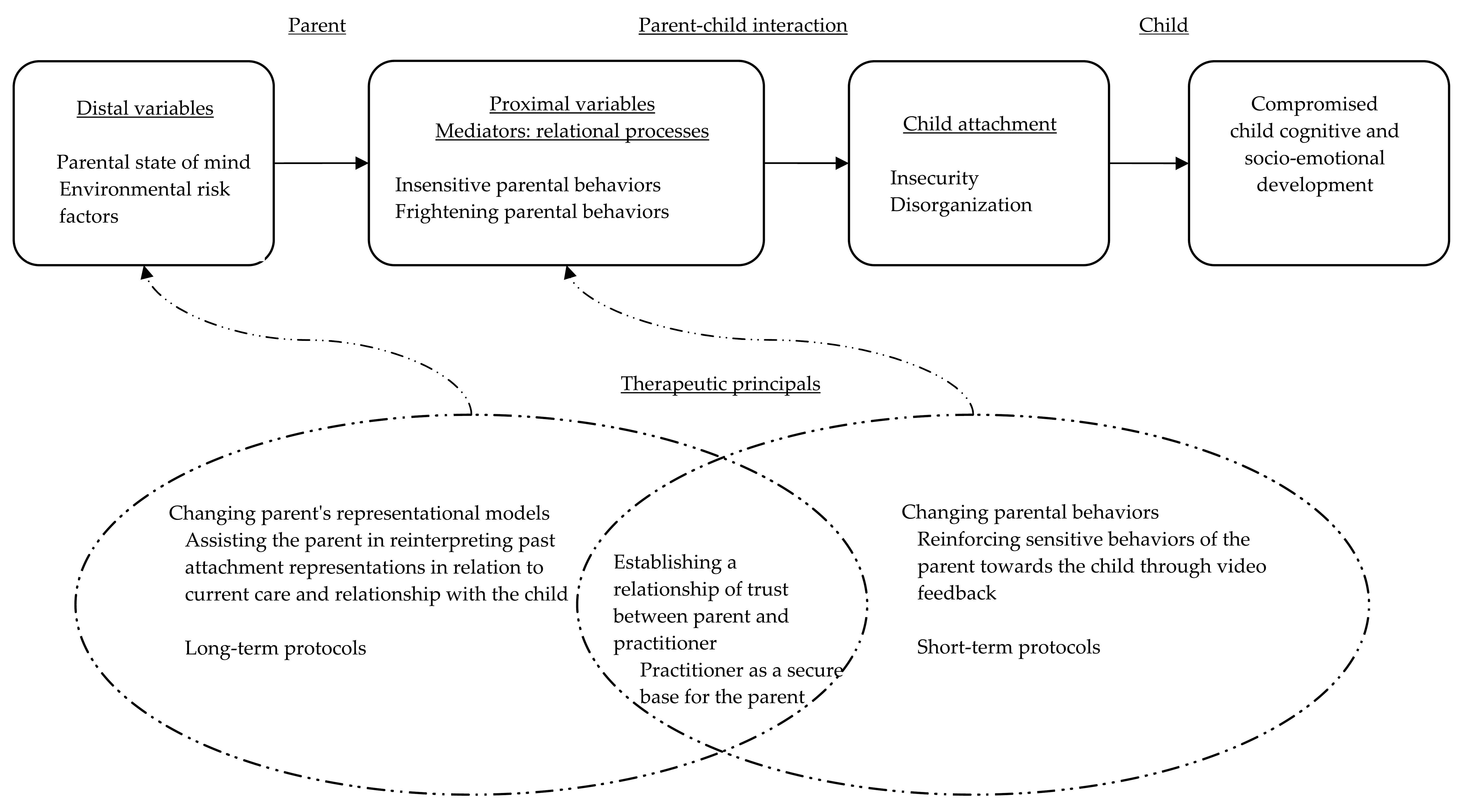 Essays attachment theory