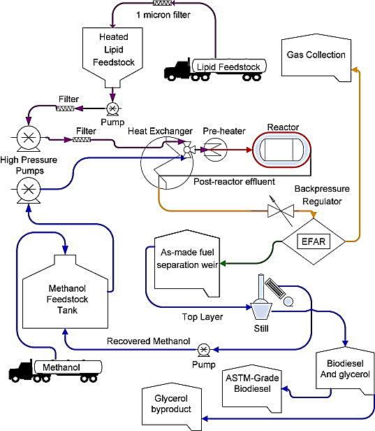 Biodiesel Feedstock and Production Technologies: Successes, Challenges and  Prospects | IntechOpen