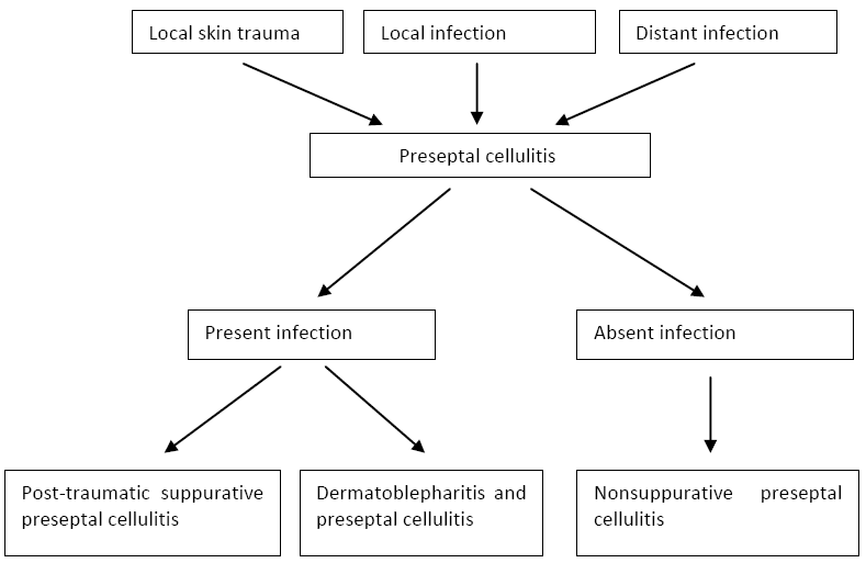 Figure 1. Pathophysiology of preseptal cellulitis