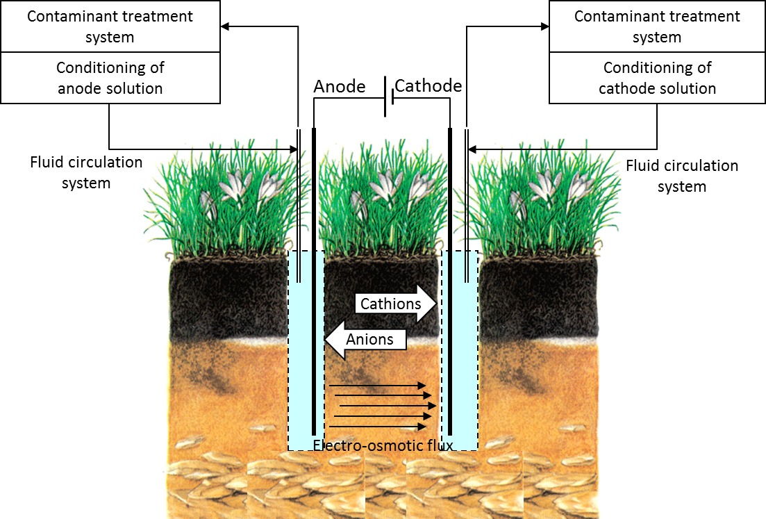 Advances in Electrokinetic Remediation for the Removal of Organic  Contaminants in Soils | IntechOpen