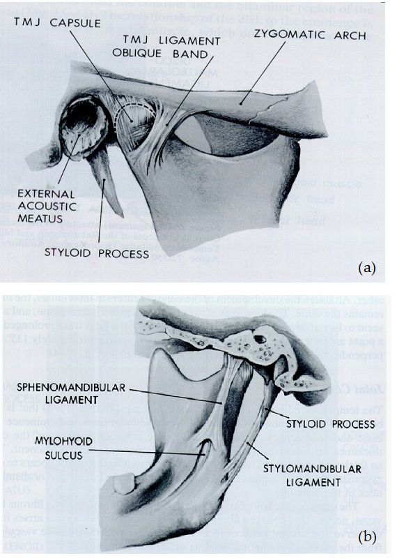 Temporomandibular Joint Arthroscopy Versus Arthrotomy Intechopen