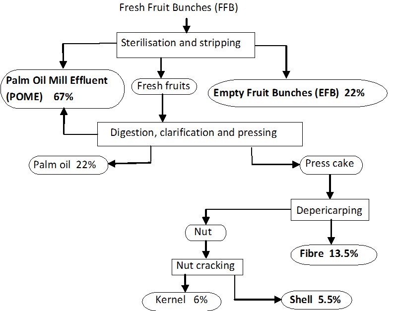 Fresh Fruit Bunch Price Chart
