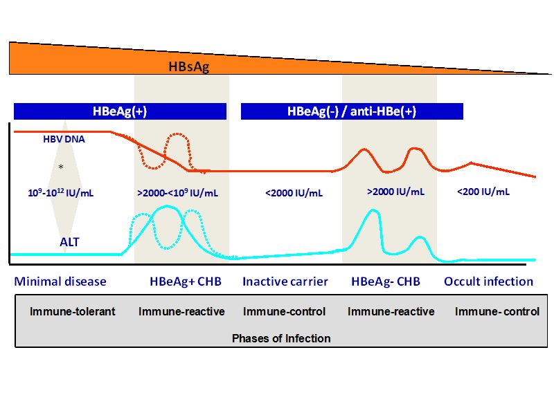 Current Concepts On Management Of Chronic Hepatitis B Intechopen