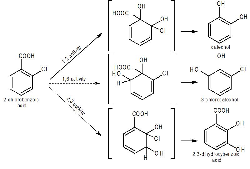 2 chlorobenzoic acid solubility