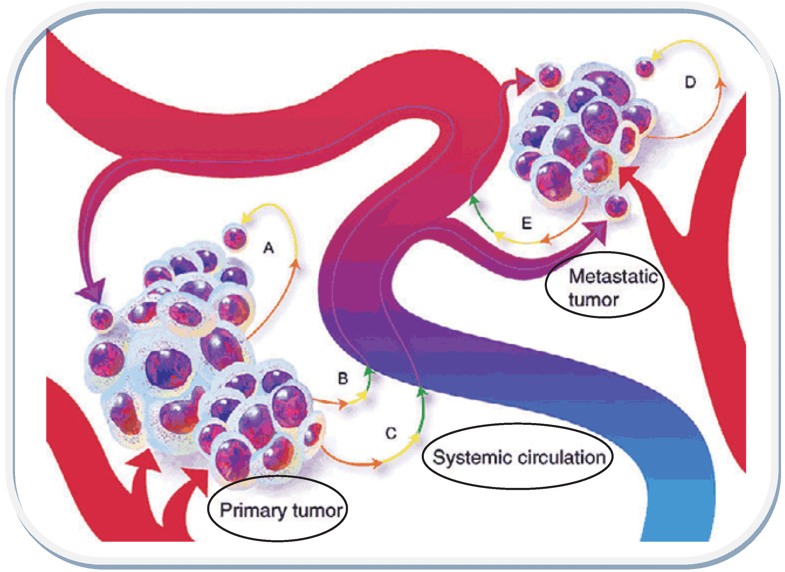 Implications of the “Subquantum Level” in Carcinogenesis and Tumor 