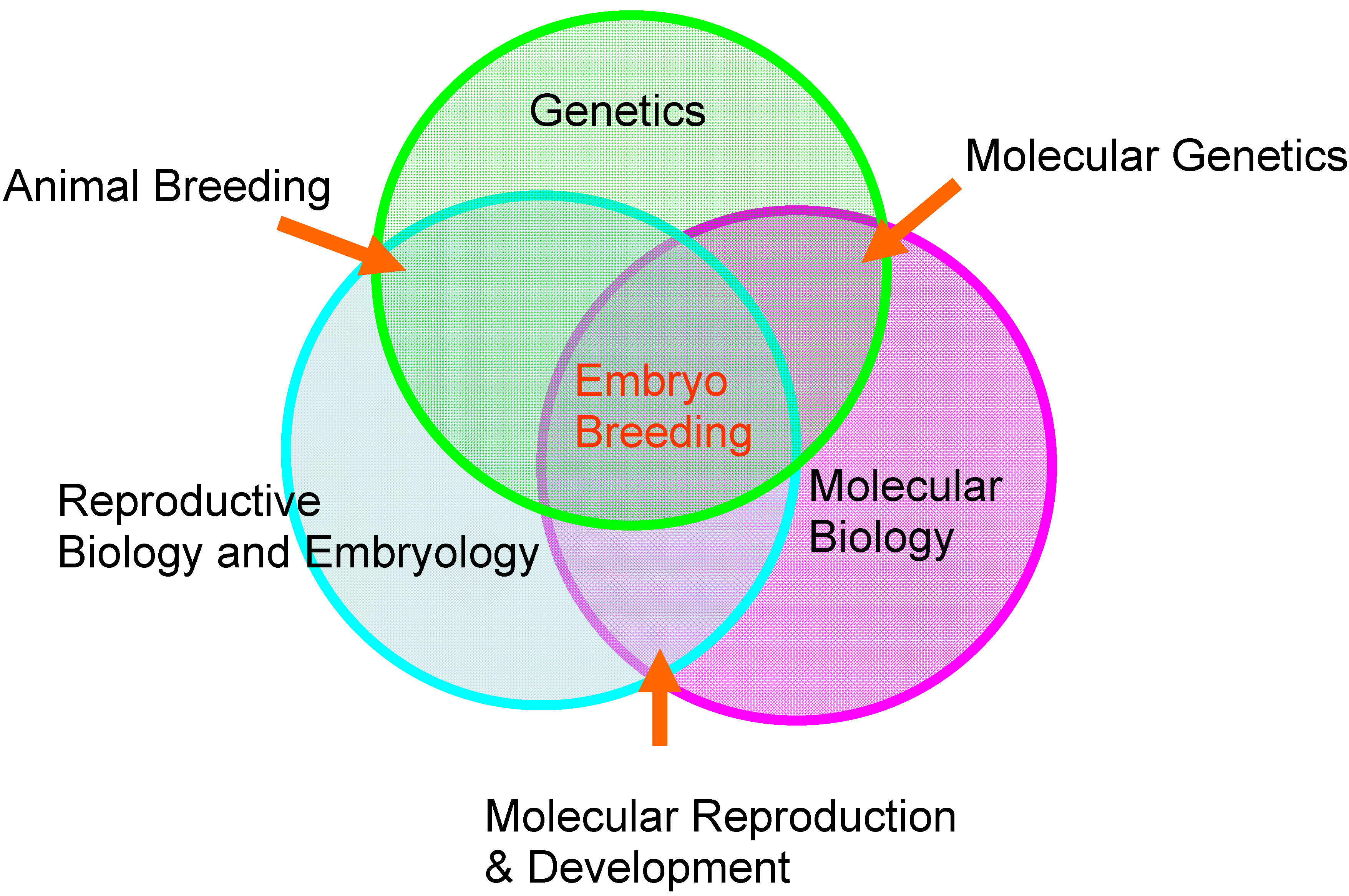 A Novel Discipline in Embryology — Animal Embryo Breeding | IntechOpen
