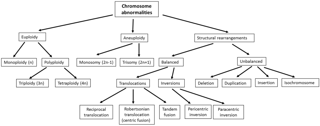 Chromosome Abnormalities in Domestic Animals as Causes of Disorders of Sex  Development or Impaired Fertility | IntechOpen