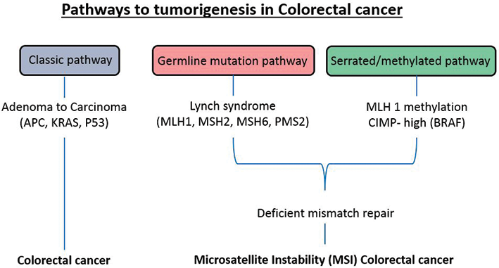 Mutații K-ras în tumori de colon