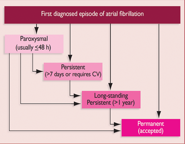 Atrial fibrillation paroxysmal Paroxysmal atrial