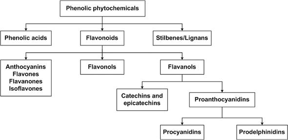 Antioxidant Capacity of Anthocyanin | IntechOpen