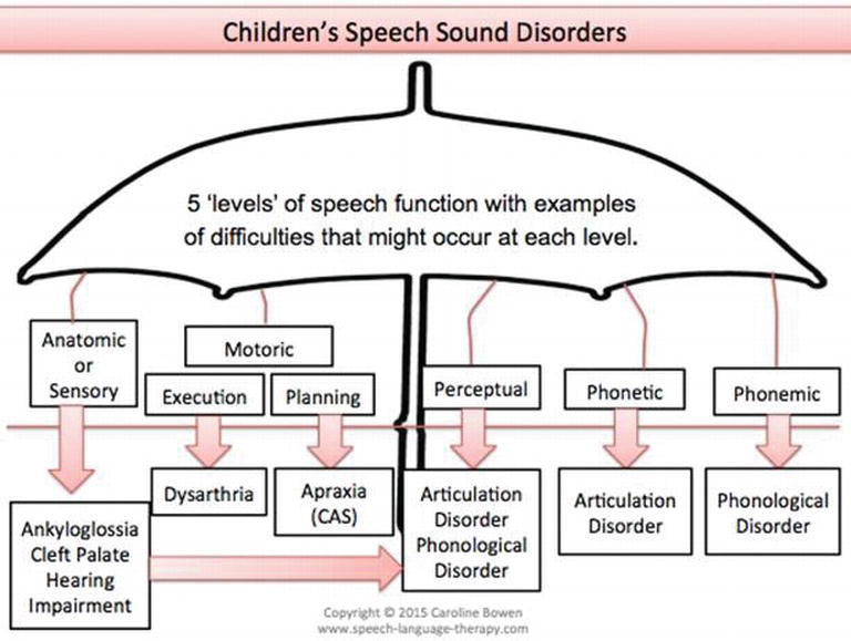 Comorbidity of Motor and Sensory Functions in Childhood ...