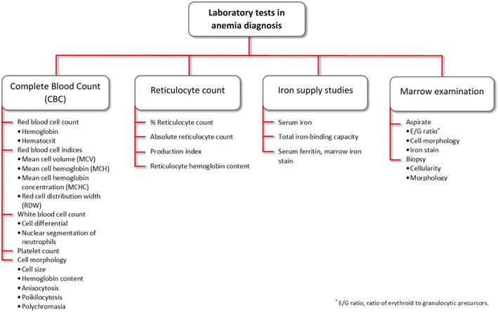 Laboratory Approach to Anemia | IntechOpen