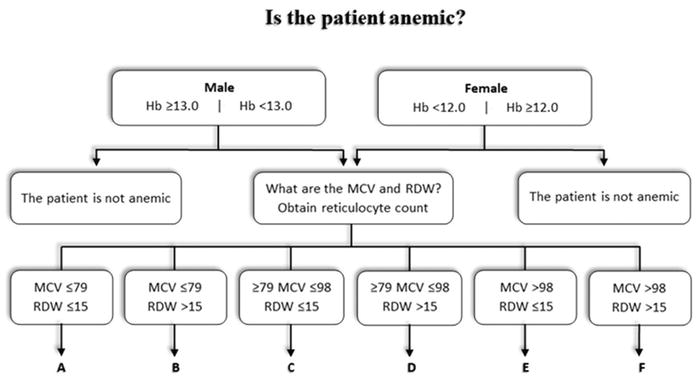 Different Anemias Chart