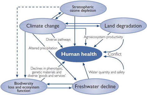 Water Pollution: Effects, Prevention, and Climatic Impact | IntechOpen