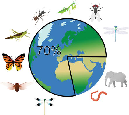 Insect Conservation for the Twenty-First Century | IntechOpen