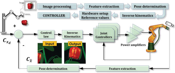 Robotic Harvesting Of Fruiting Vegetables A Simulation Approach