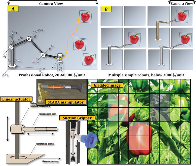 Robotic Harvesting Of Fruiting Vegetables A Simulation Approach