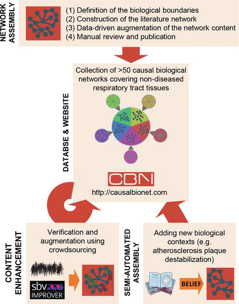 Developing Network-Based Systems Toxicology by Combining ...