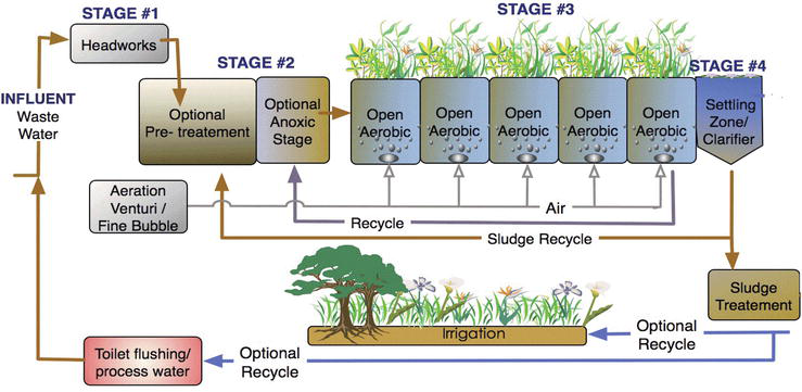 Natural Ecological Remediation and Reuse of Sewage Water in ...