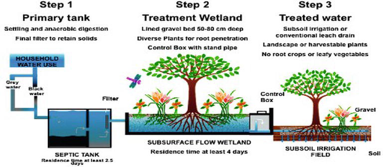 Natural Ecological Remediation and Reuse of Sewage Water in ...