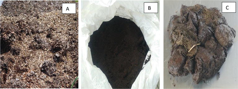 Biochar and Animal Manure Impact on Soil, Crop Yield and Quality |  IntechOpen