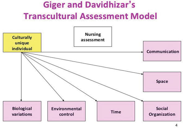 giger and davidhizar model