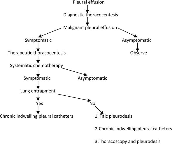 Pathophysiology Of Pleural Effusion In Flow Chart