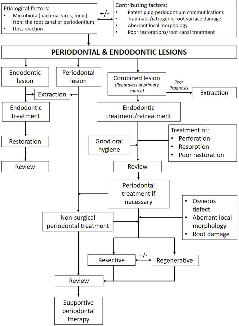 The Periodontal Endodontic Relationship What Do We Know Intechopen