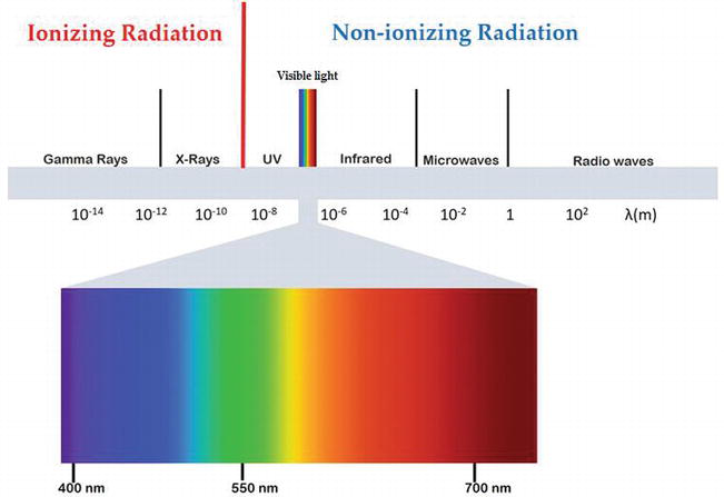 Effect Of Irradiation On Food Nutritional Values 