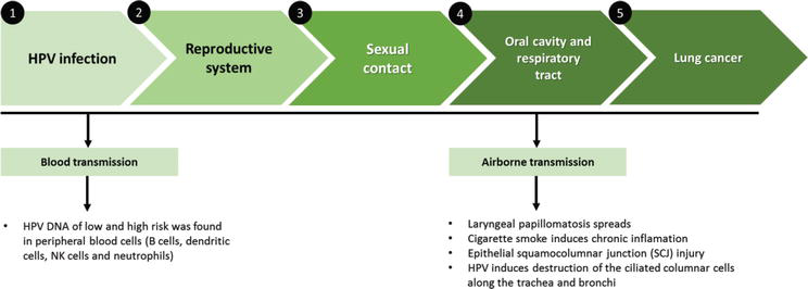 hpv and lung cancer