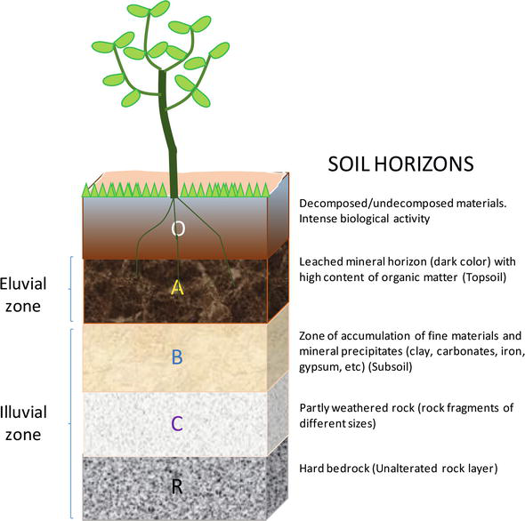 Soil Horizon Chart