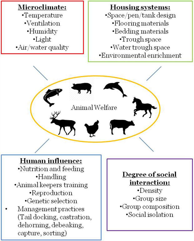 The Disturbed Habitat and Its Effects on the Animal Population | IntechOpen