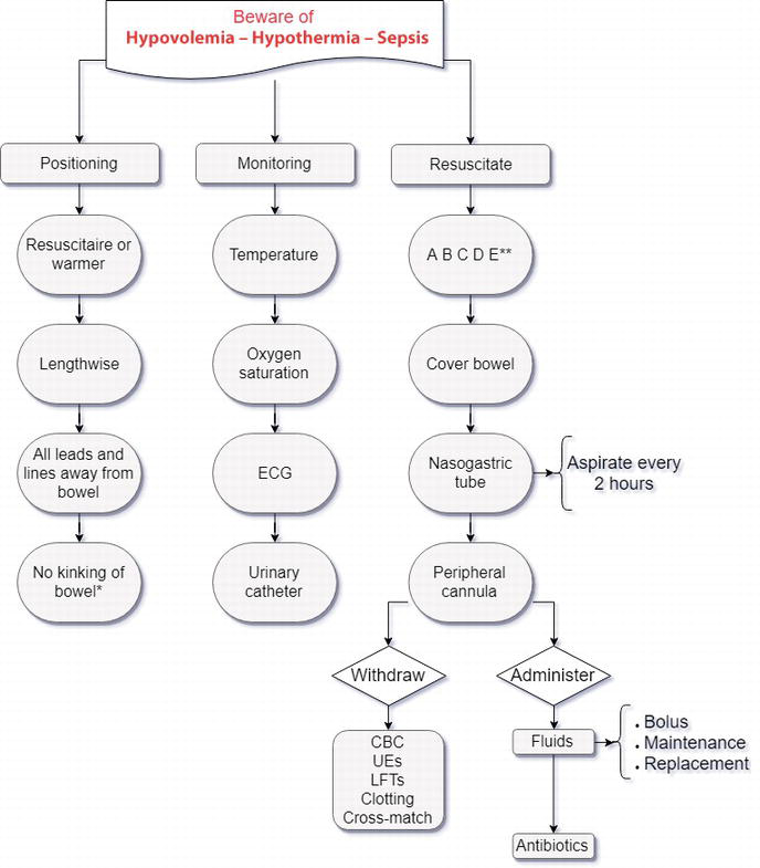 Pathophysiology Of Umbilical Hernia In Flow Chart
