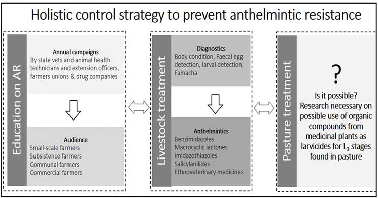 Anthelmintic action, Anthelmintic mode of action