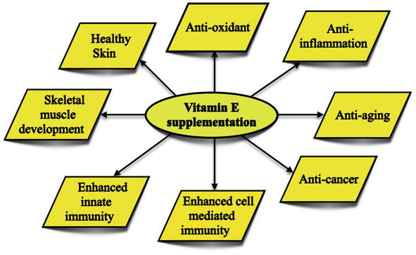 Role of Vitamin E in Boosting the Immunity from Neonates to Elderly |  IntechOpen