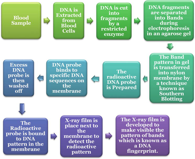 dna profiling pros and cons