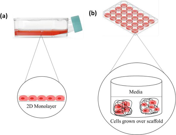 Two-Dimensional and Three-Dimensional Cell Culture and Their Applications |  IntechOpen