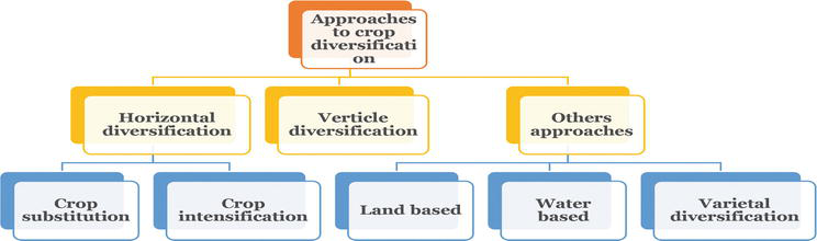 advantages of crop diversification